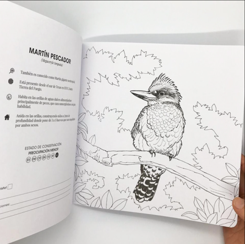 Libro para colorear Tomo I – Fauna Chilena