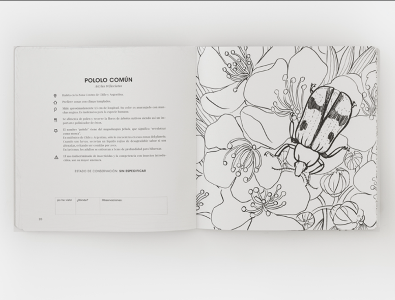 Libro para colorear Tomo II – Flora, fauna y hongos chilena