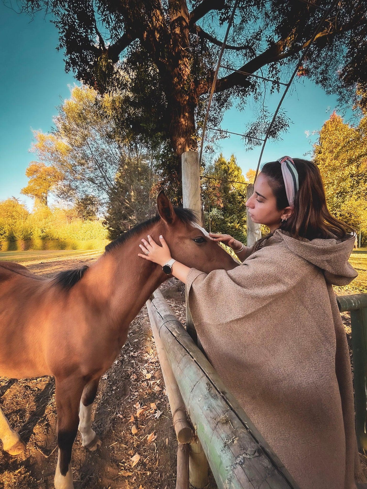 Poncho Lana Alpaca Liso - Veta Indómita