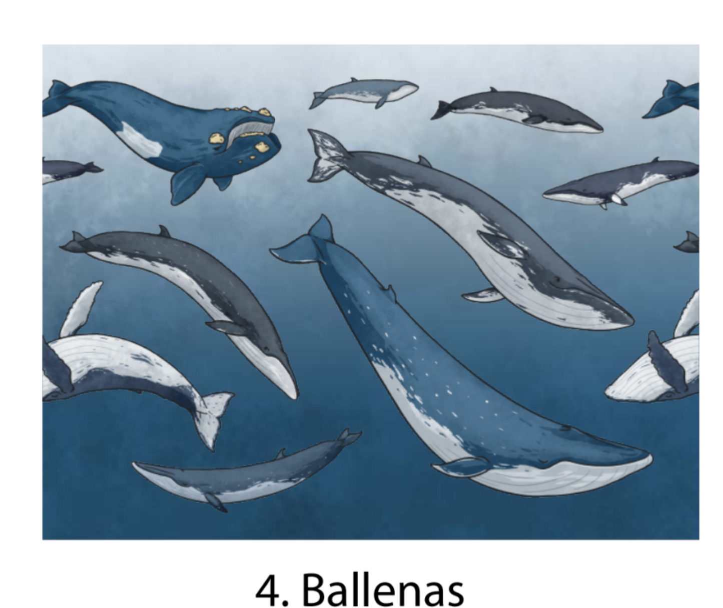 Cuello con chiporro de polar Fauna Chilena