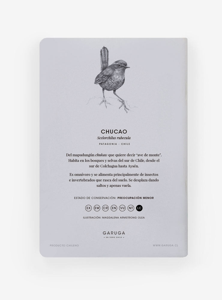 Libreta de Bolsillo 10x15 cm – Ilustración Fauna Chilena - Veta Indómita