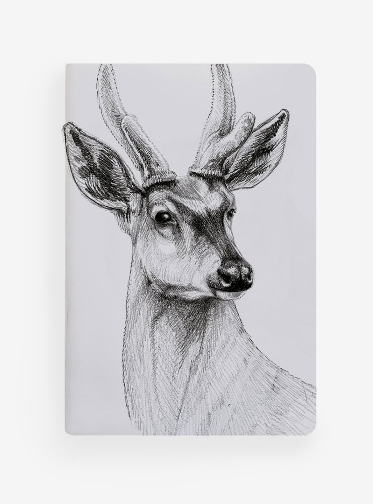 Libreta de Bolsillo 10x15 cm – Ilustración Fauna Chilena - Veta Indómita