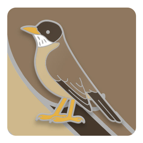 Pins de Aves de Chile