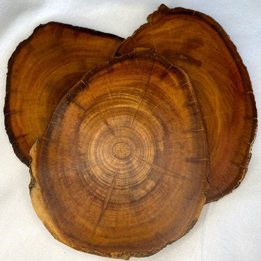 picoyo araucaria araucana madera