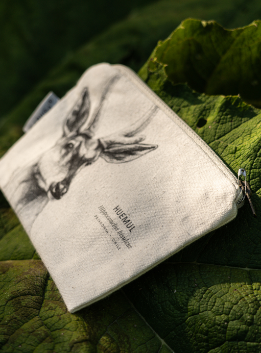 Estuche De Algodón Fauna Chilena