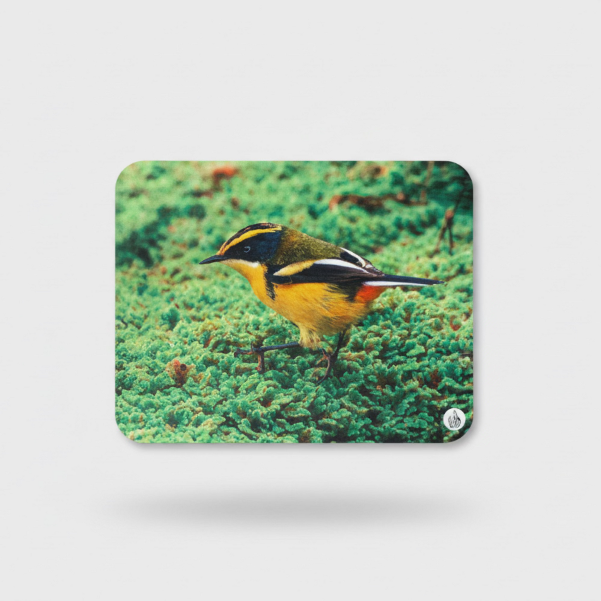 mousepads
