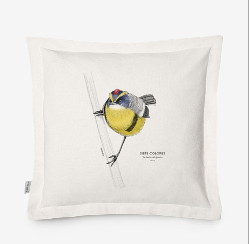 Funda de Cojín 50x50 cm – Ilustración de Fauna Chilena