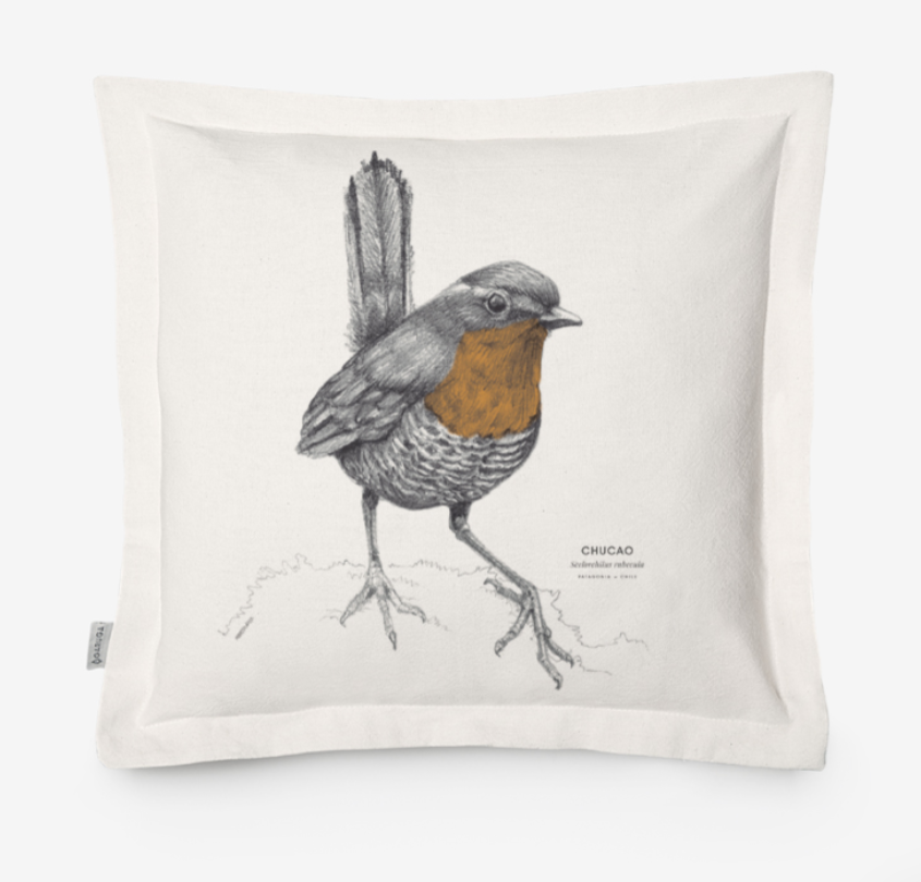 Funda de Cojín 50x50 cm – Ilustración de Fauna Chilena