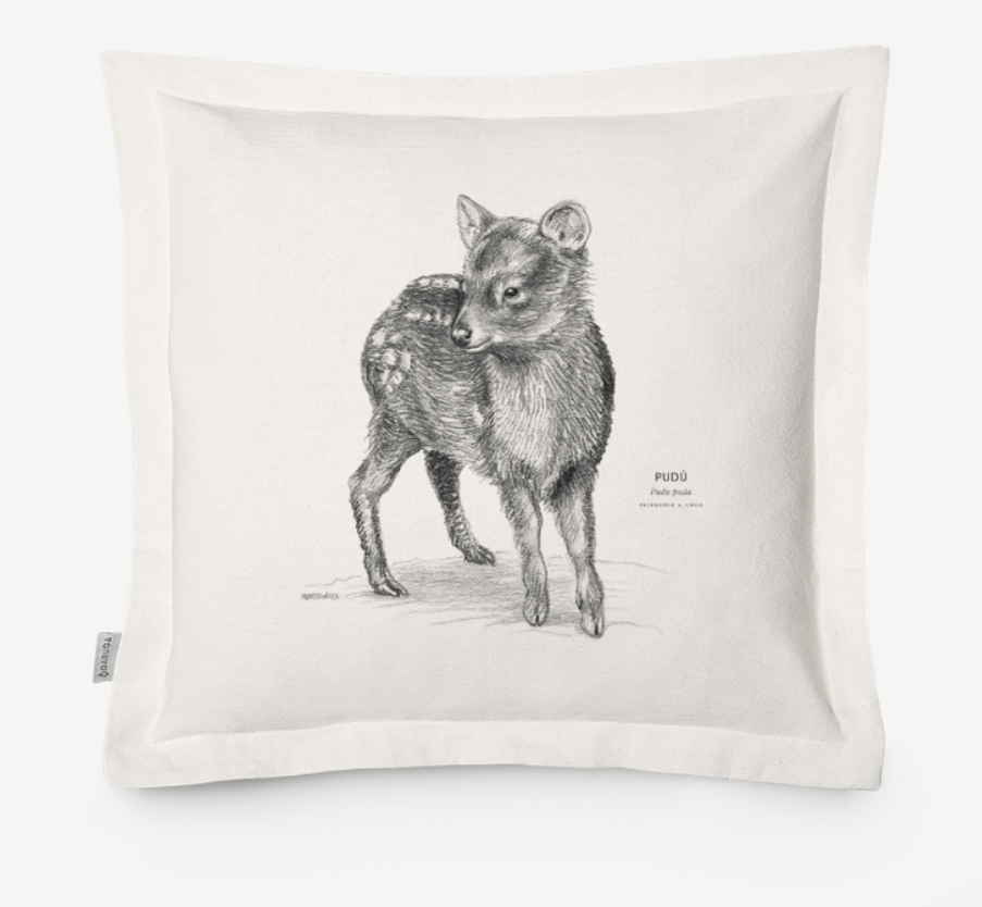 Funda de Cojín 50x50 cm – Ilustración de Fauna Chilena