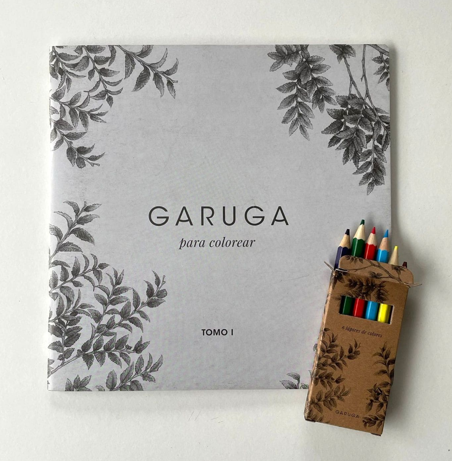 Libro para colorear Tomo I – Fauna Chilena