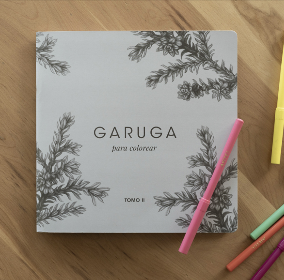 Libro para colorear Tomo II – Flora, fauna y hongos chilena