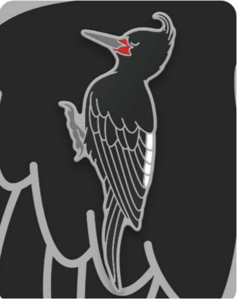 Pins de Aves de Chile
