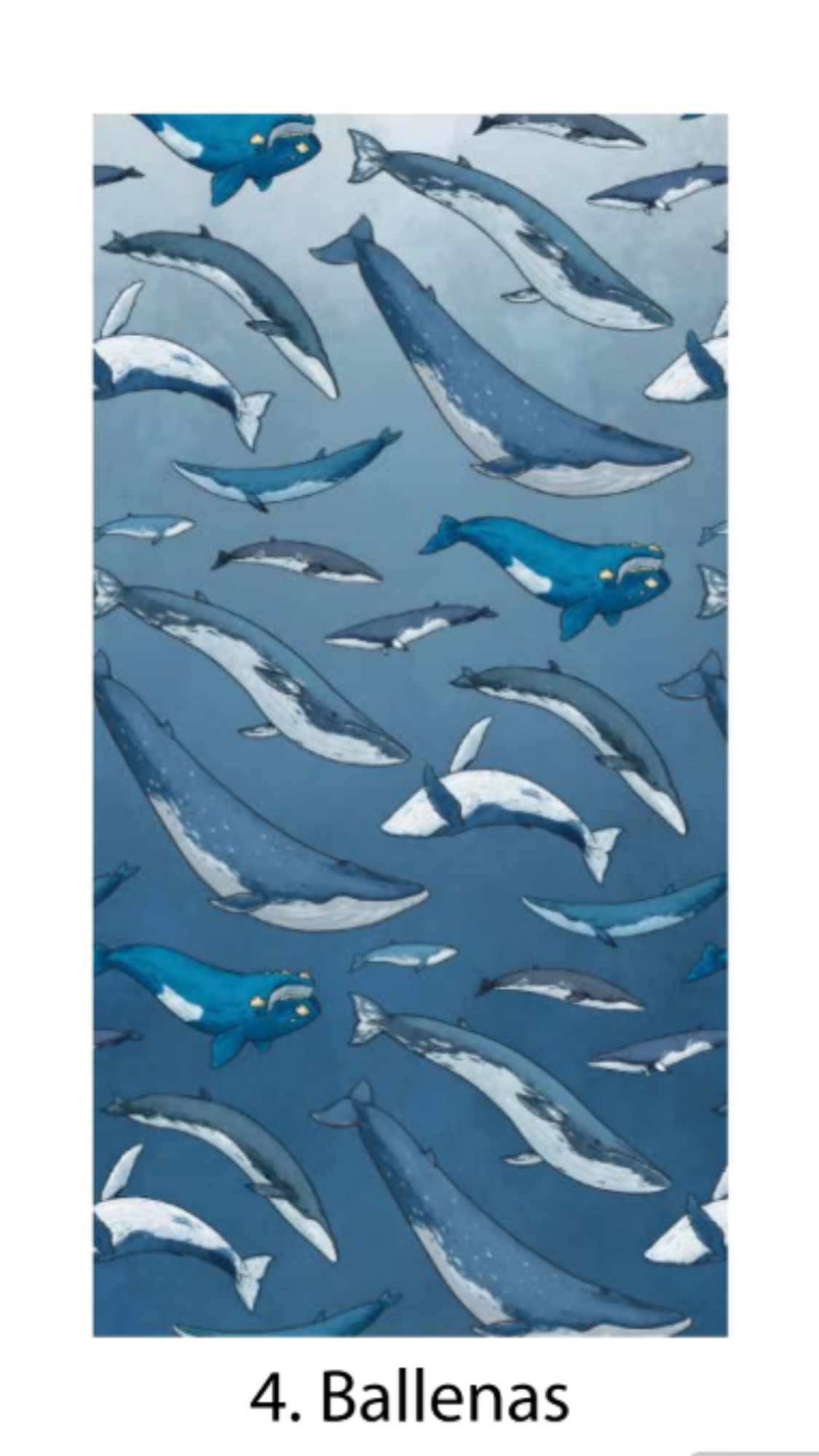 Bandanas Fauna Chilena Ilustrada