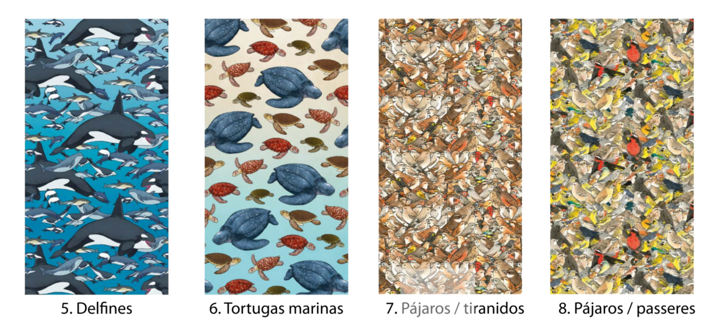 Bandanas Fauna Chilena Ilustrada