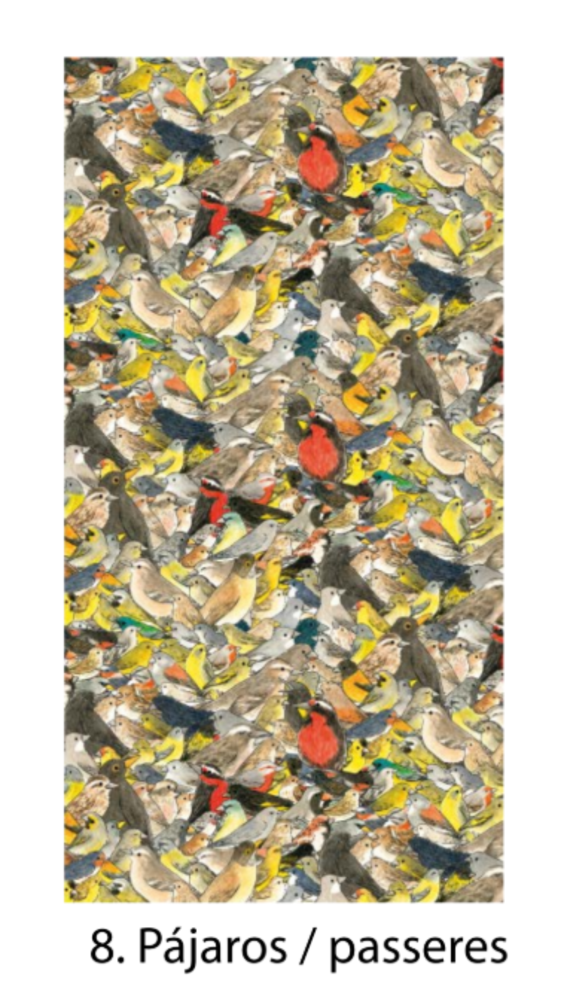 Bandanas Fauna Chilena Ilustrada