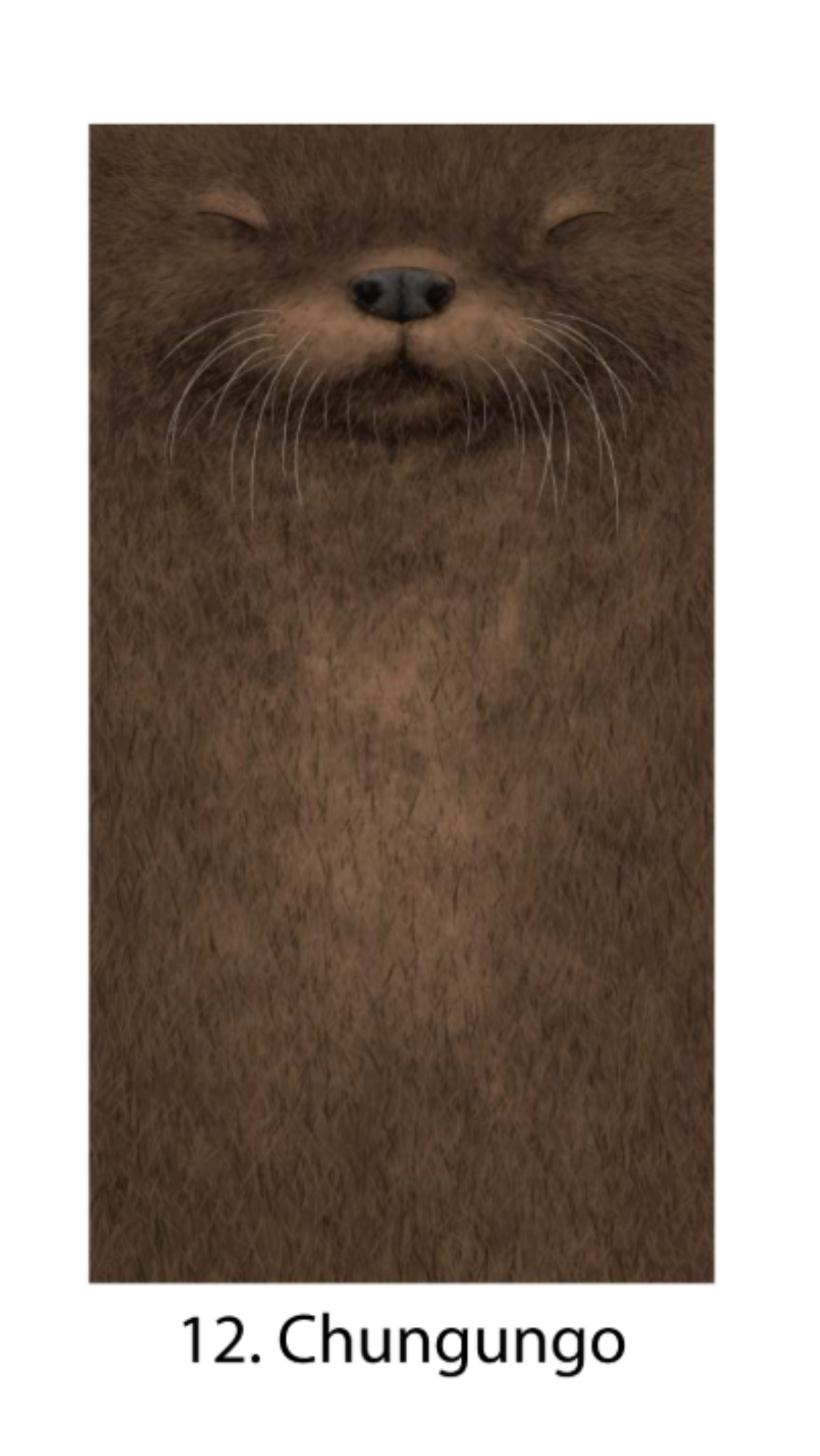 Bandanas Fauna Chilena Ilustrada