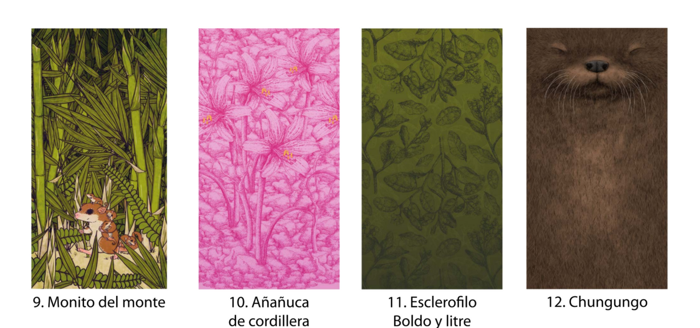 Bandanas Fauna Chilena Ilustrada