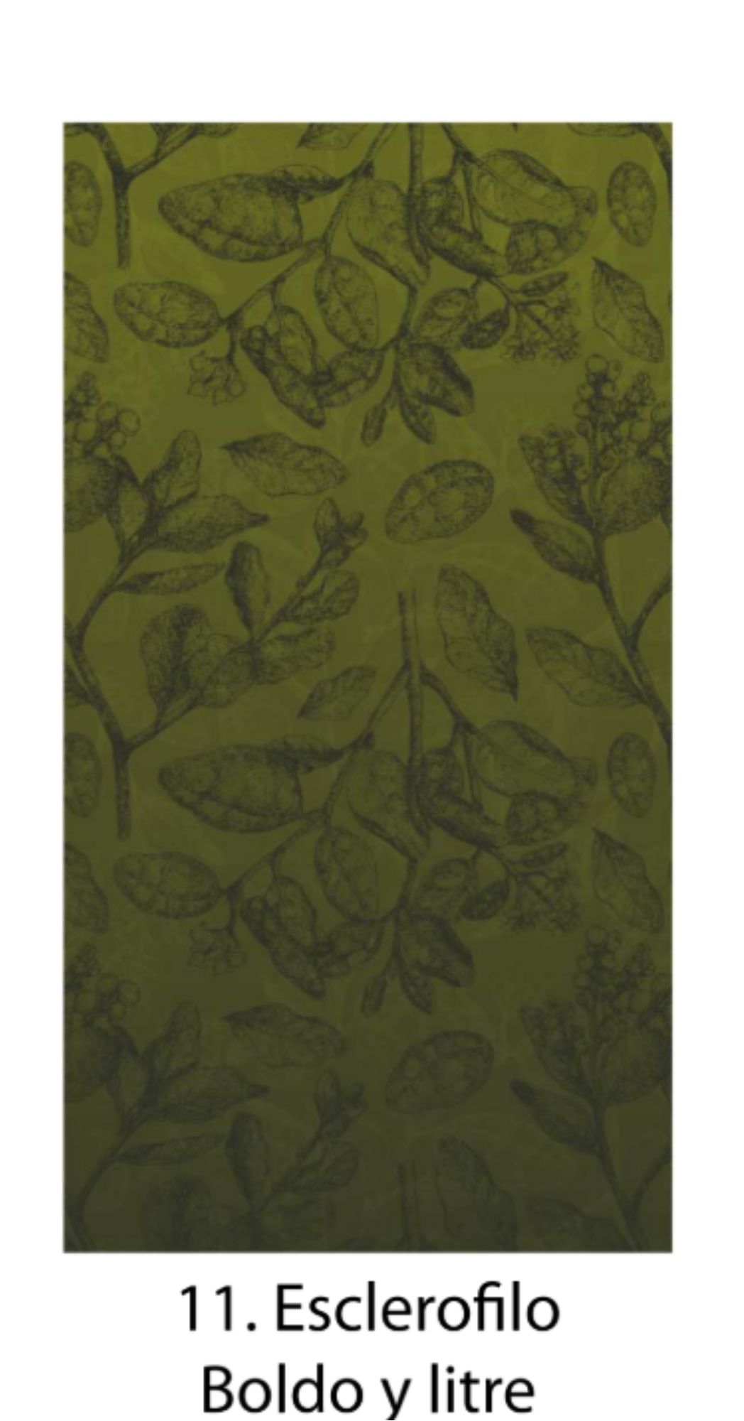 Bandanas Fauna Chilena Ilustrada