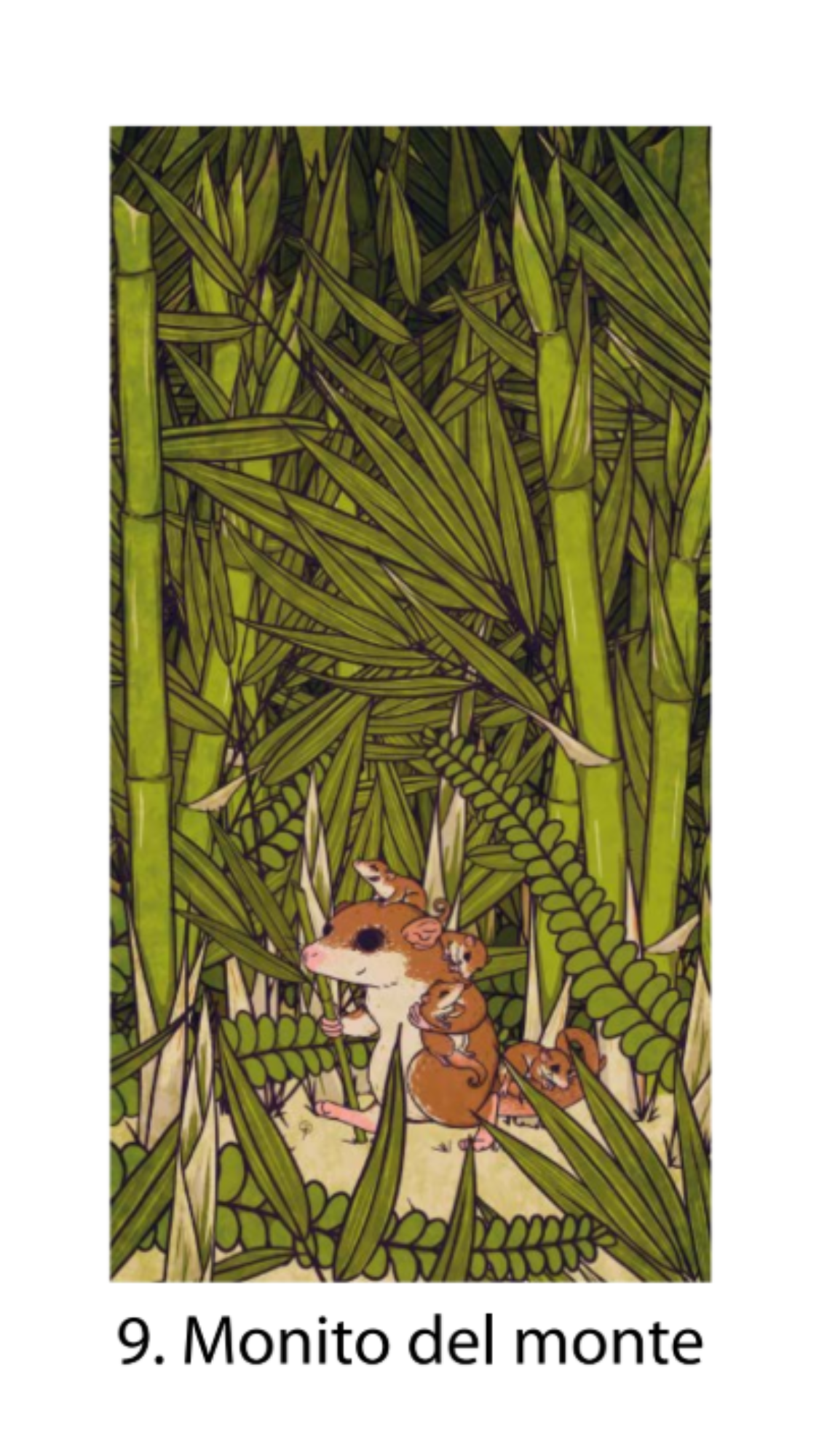 Bandanas Fauna Chilena Ilustrada