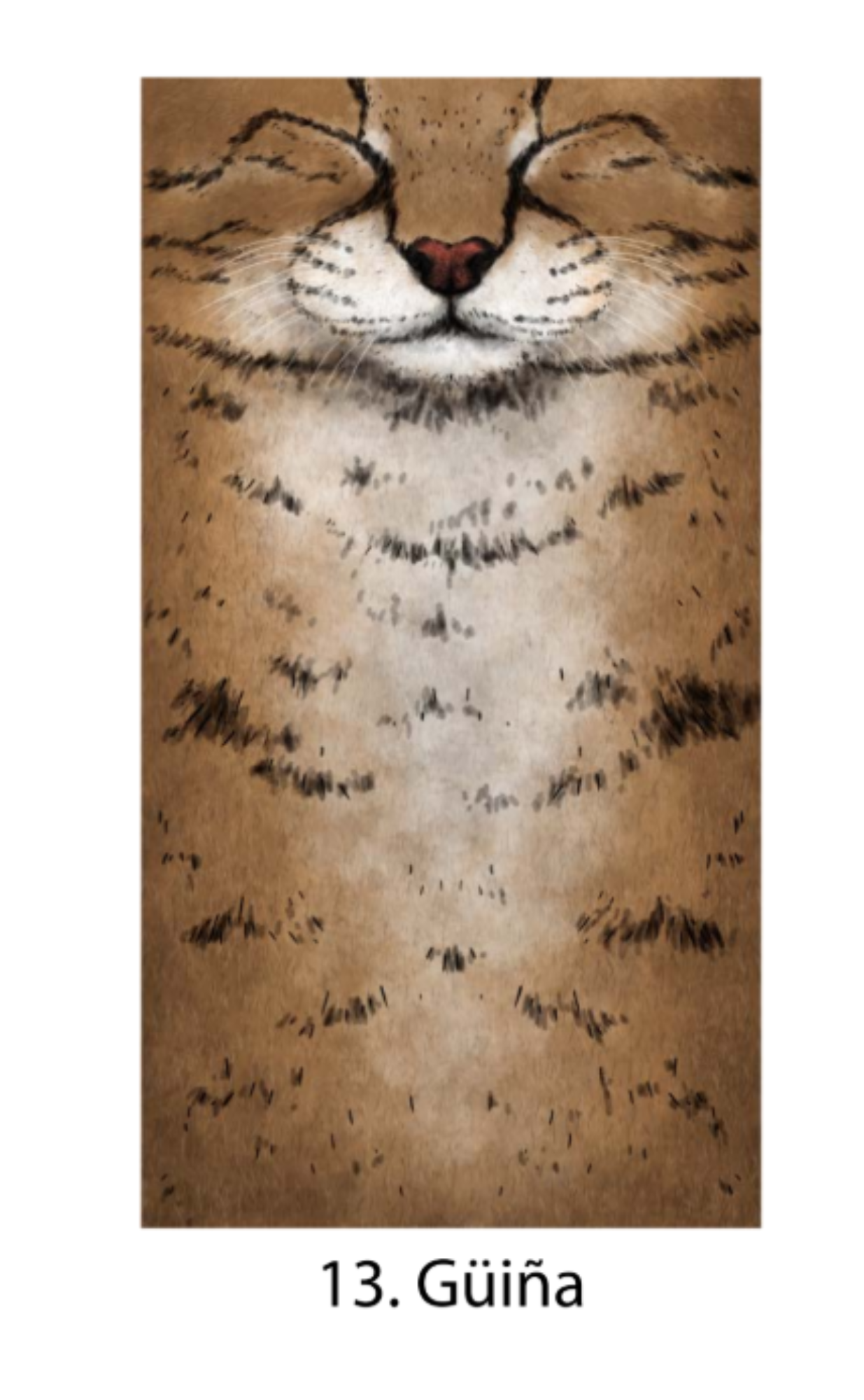 Bandanas Fauna Chilena Ilustrada