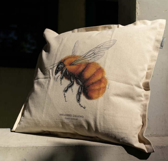 Funda de Cojín 50x50 cm – Ilustración de Fauna Chilena - Veta Indómita