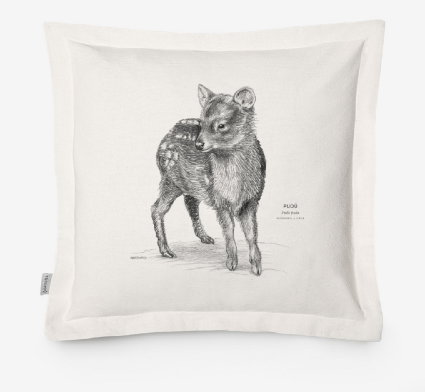 Funda de Cojín 50x50 cm – Ilustración de Fauna Chilena