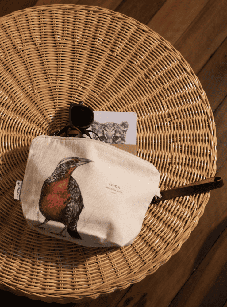 Estuche Neceser de Algodón – Ilustración Fauna Chilena - Veta Indómita