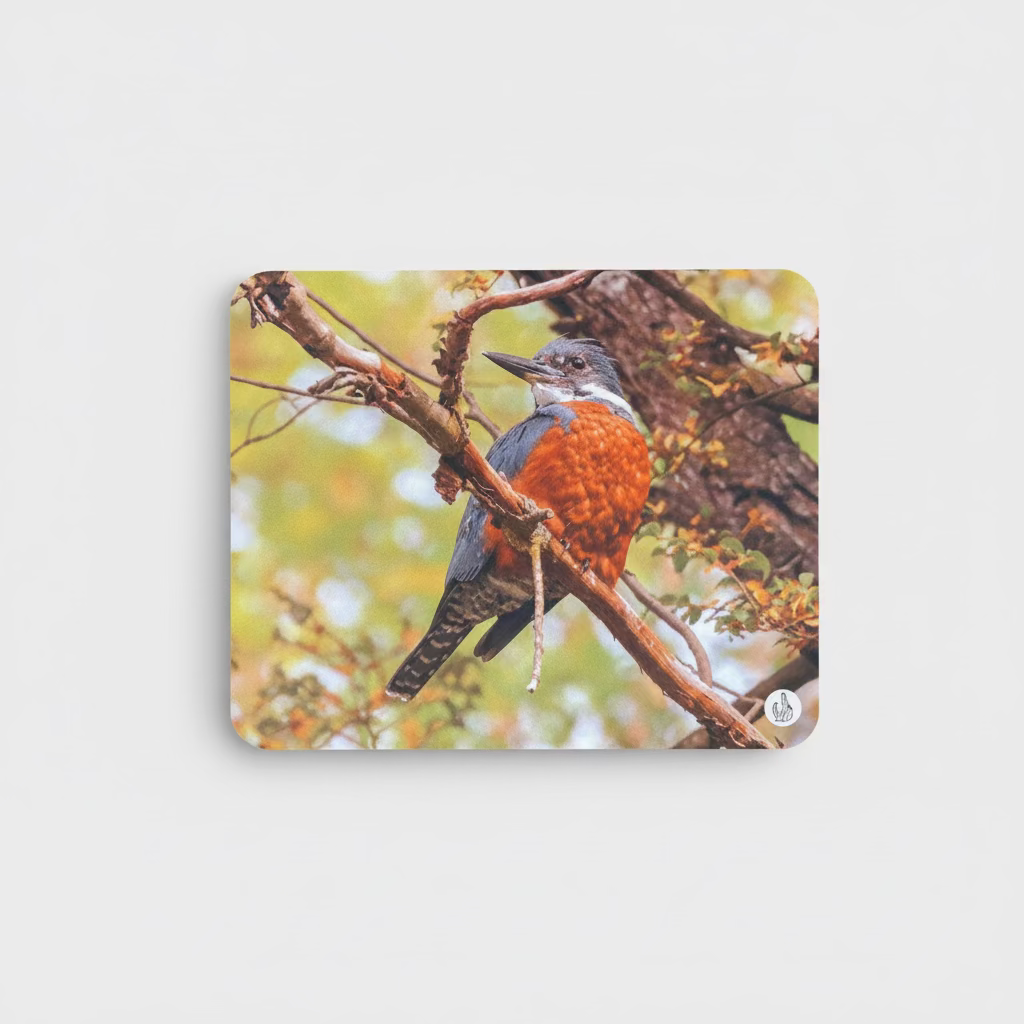 MOUSEPADS Fotografía Fauna Chilena