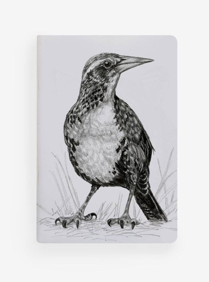 Libreta de Bolsillo 10x15 cm – Ilustración Fauna Chilena