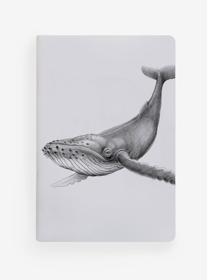 Libreta de Bolsillo 10x15 cm – Ilustración Fauna Chilena