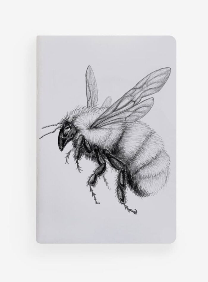 Libreta de Bolsillo 10x15 cm – Ilustración Fauna Chilena