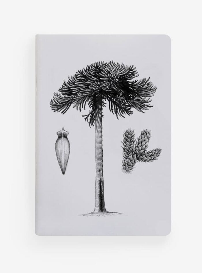 Libreta de Bolsillo 10x15 cm – Ilustración Fauna Chilena