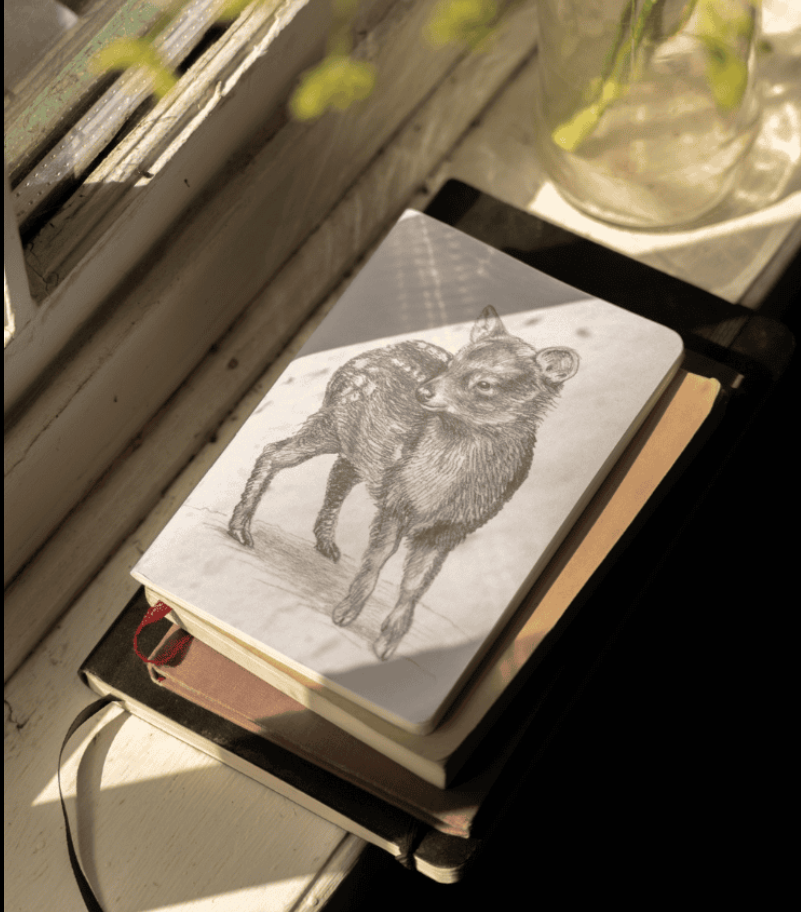 Libreta de Bolsillo 10x15 cm – Ilustración Fauna Chilena - Veta Indómita