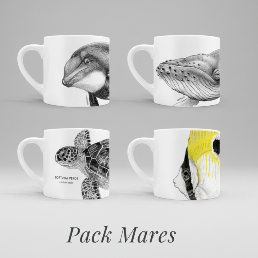 Set 4 Tazas Cerámica Flora y Fauna Chilena