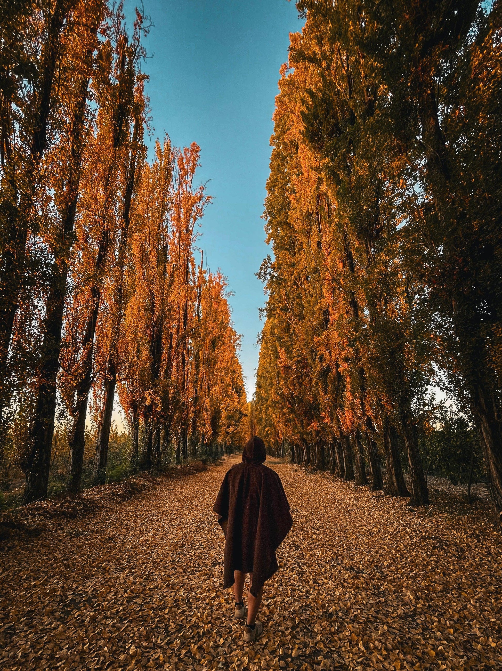 Poncho Lana Alpaca Liso - Veta Indómita