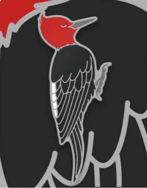 Pins de Aves de Chile