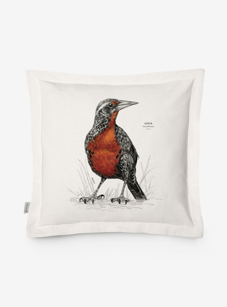 Funda De Cojín Ilustración Fauna Chilena 50 x 50 cm