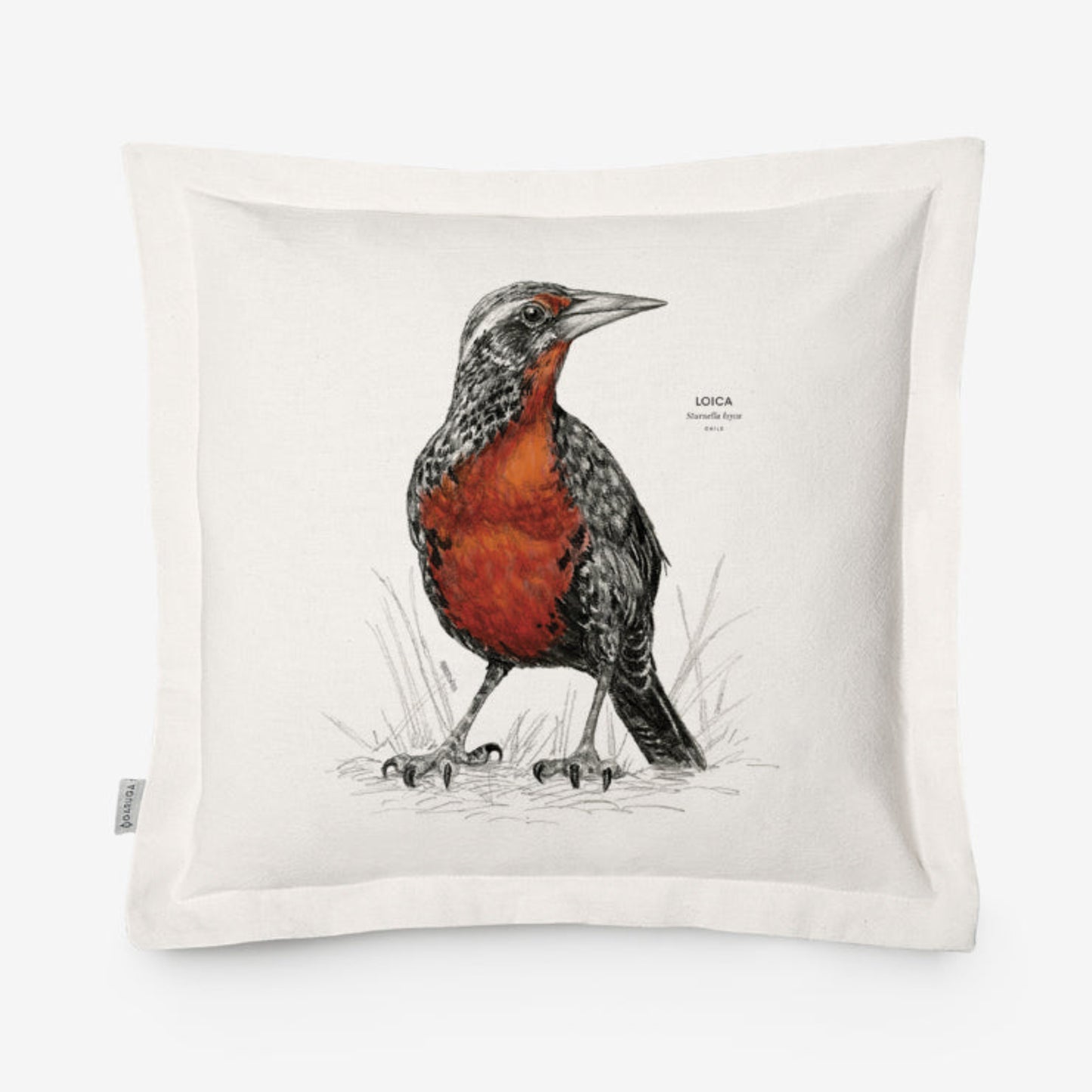Funda de Cojín 50x50 cm – Ilustración de Fauna Chilena - Veta Indómita