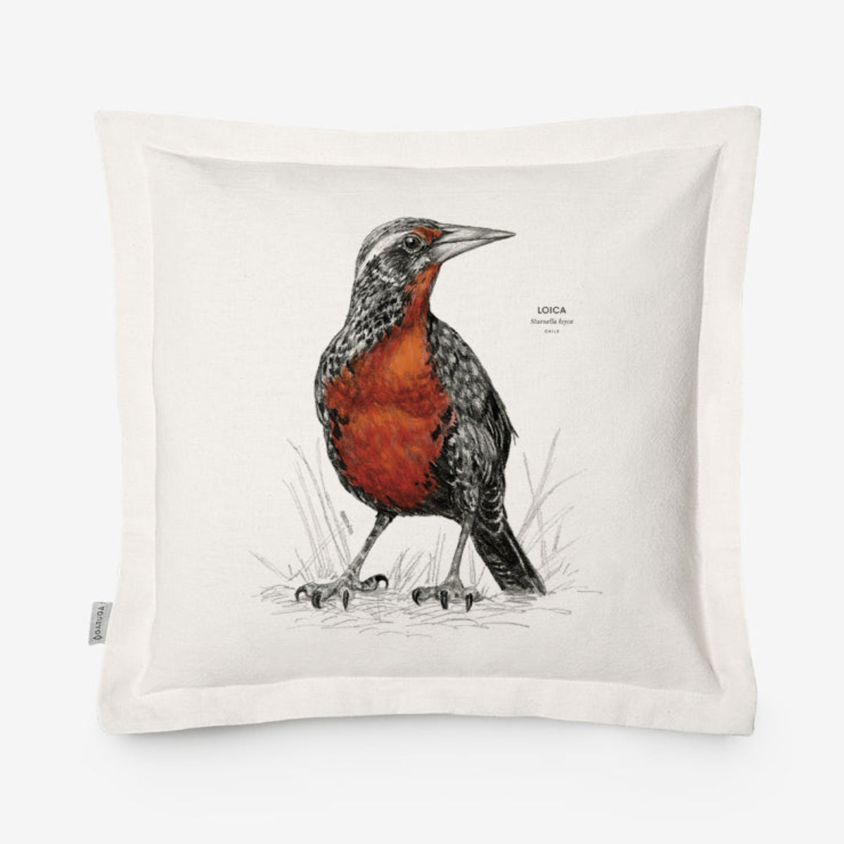 Funda de Cojín 50x50 cm – Ilustración de Fauna Chilena - Veta Indómita