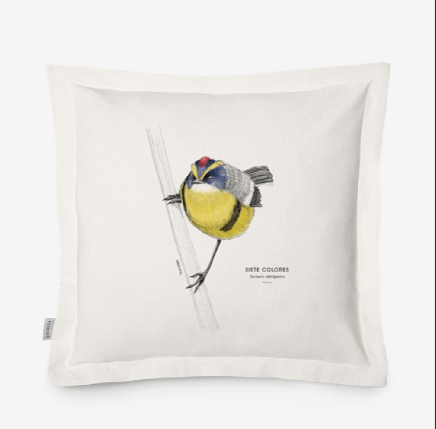 Funda de Cojín 50x50 cm – Ilustración de Fauna Chilena