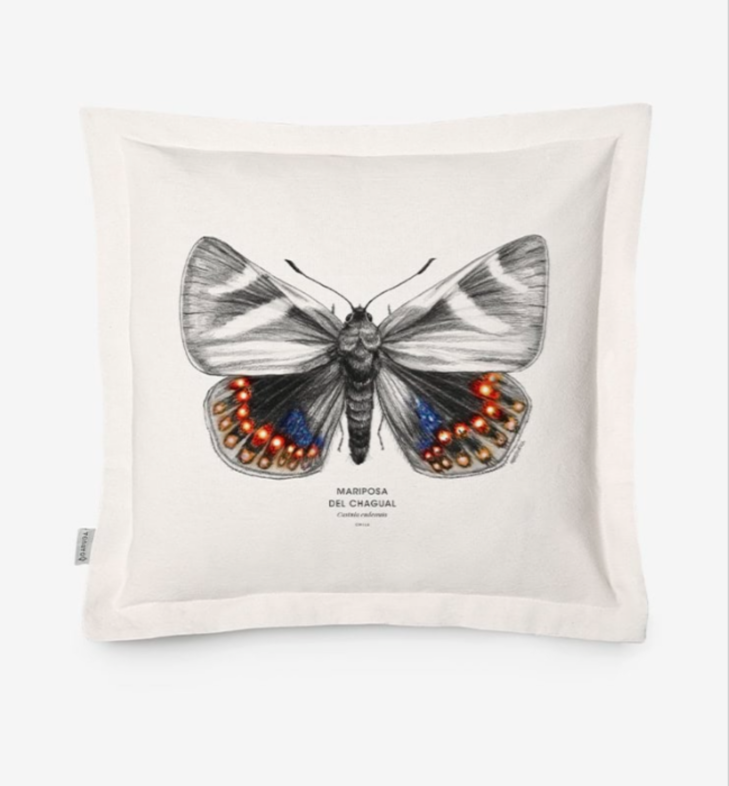 Funda de Cojín 50x50 cm – Ilustración de Fauna Chilena