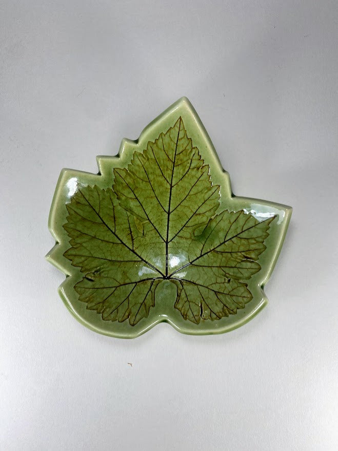 Pocillo de hoja de Parra Azul 12 a 13 cm - Veta Indómita