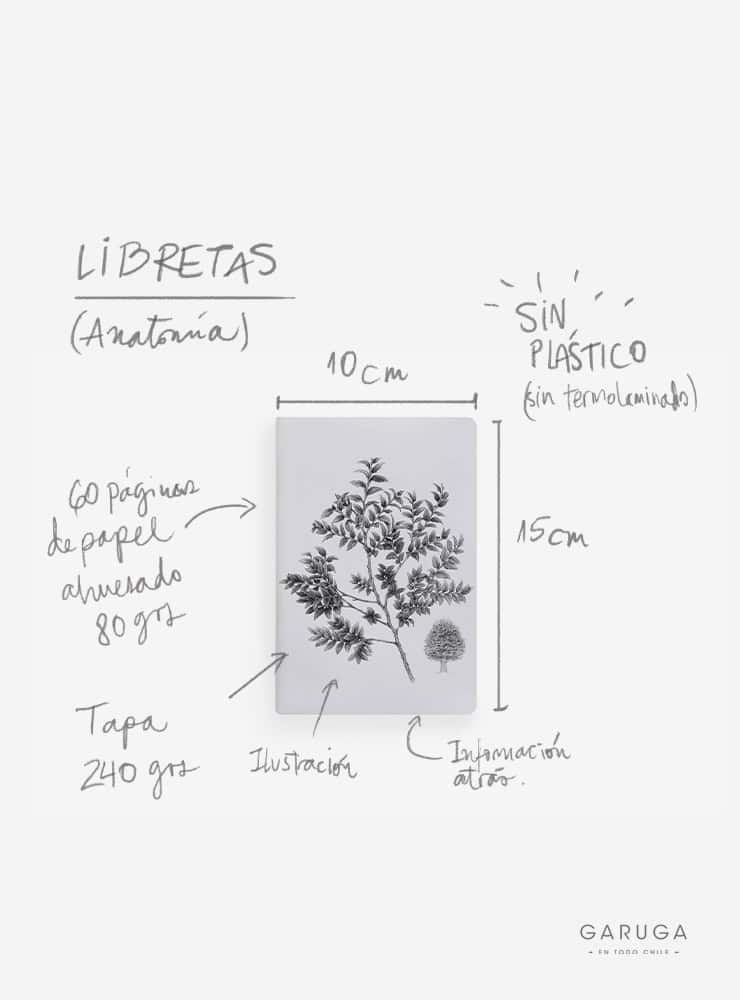 Libreta de Bolsillo 10x15 cm – Ilustración Fauna Chilena - Veta Indómita