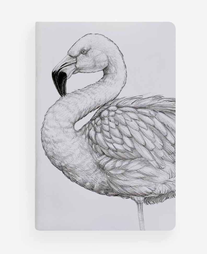 Libreta de Bolsillo 10x15 cm – Ilustración Fauna Chilena - Veta Indómita