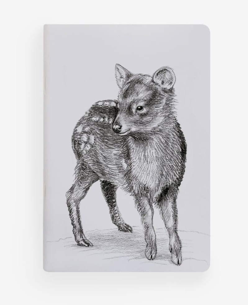 Libreta de Bolsillo 10x15 cm – Ilustración Fauna Chilena - Veta Indómita