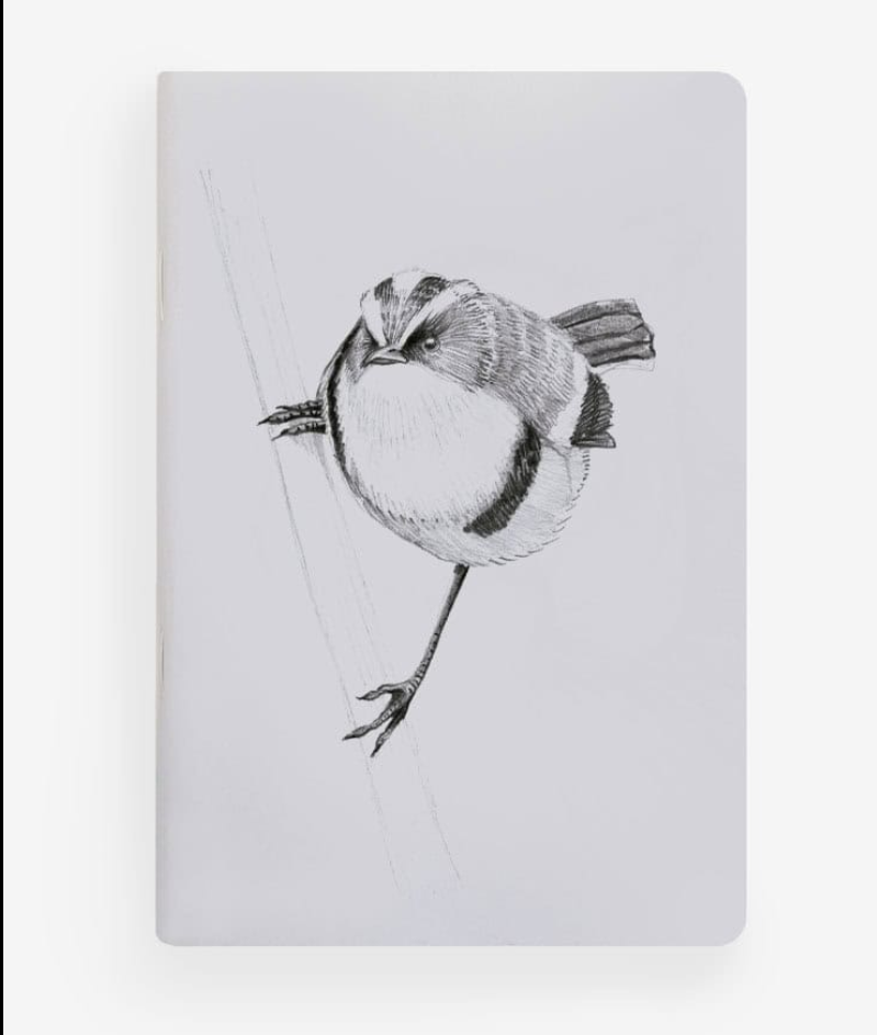 Libreta de Bolsillo 10x15 cm – Ilustración Fauna Chilena - Veta Indómita