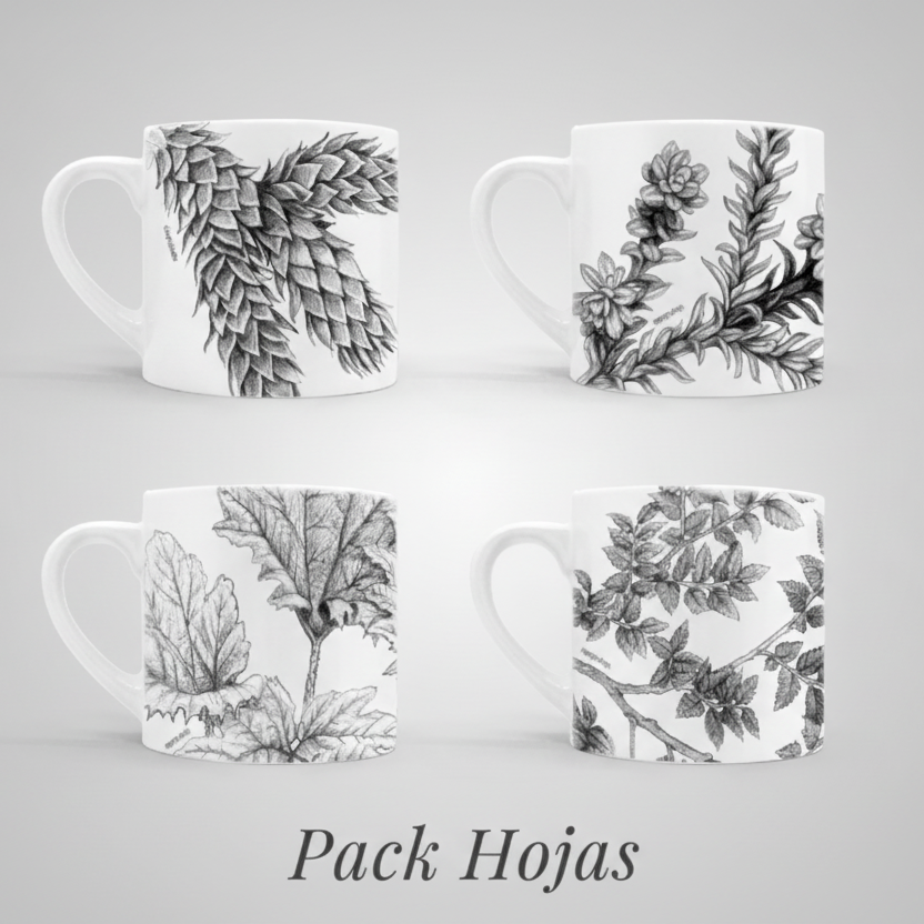 Set 4 Tazas Cerámica Flora y Fauna Chilena