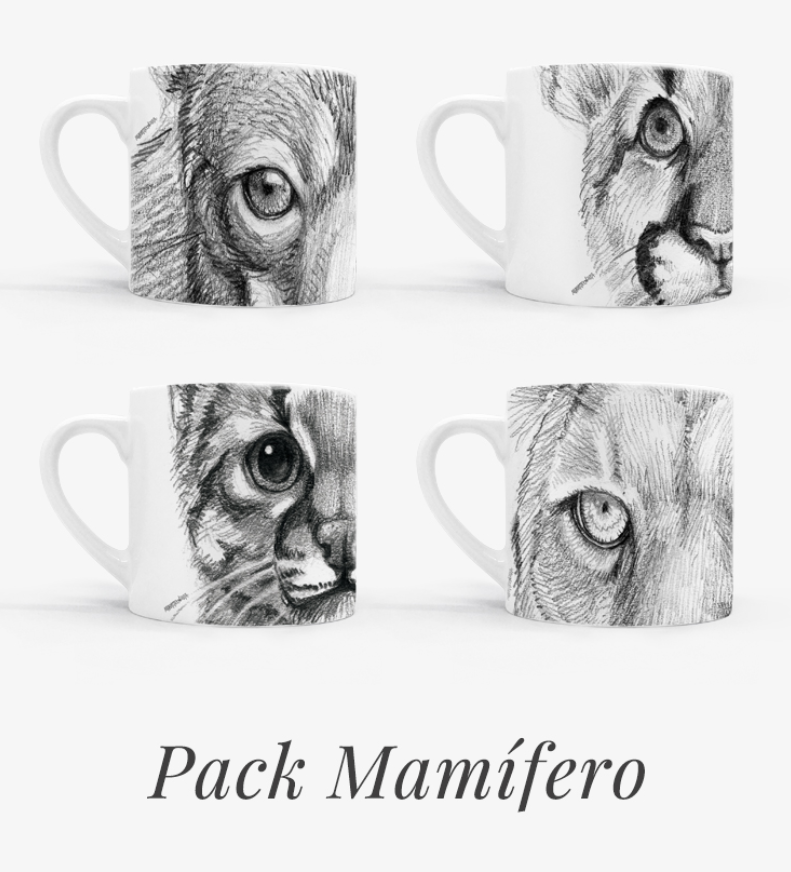 Set 4 Tazas Cerámica Flora y Fauna Chilena