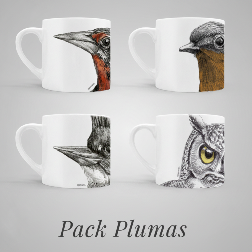 Set 4 Tazas Cerámica Flora y Fauna Chilena
