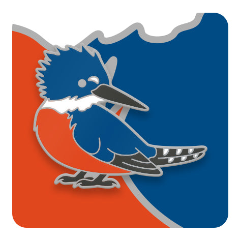 Pins de Aves de Chile